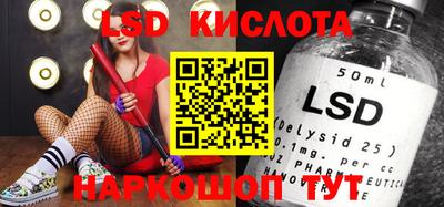 гидропоника Камышлов