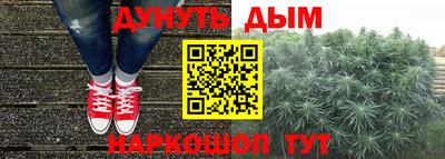 гидропоника Камышлов
