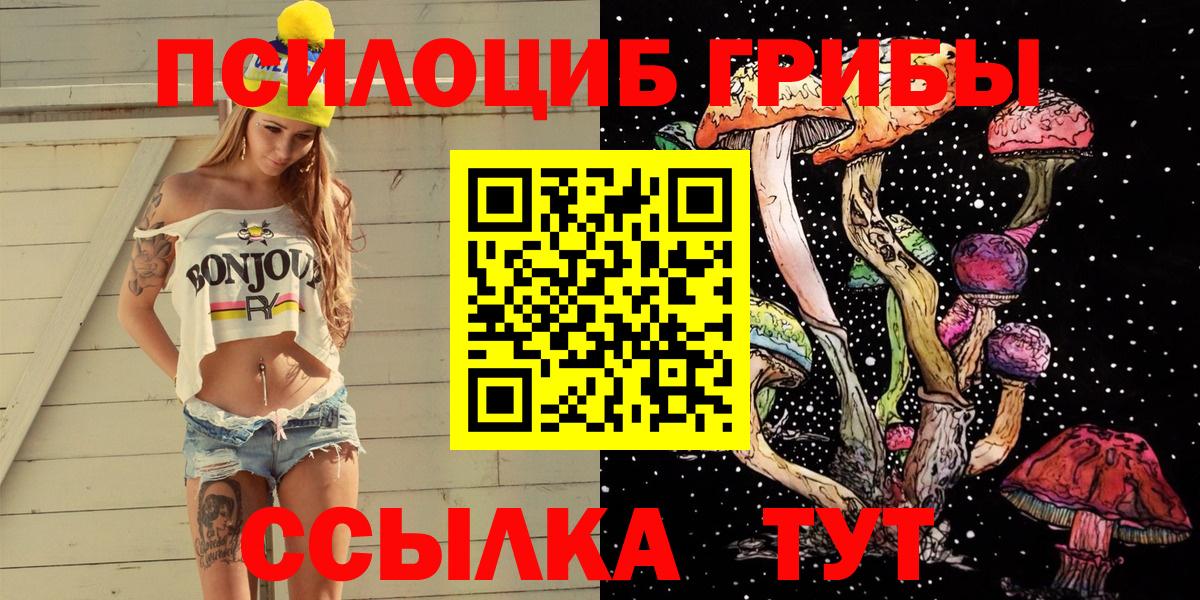 Галлюциногенные грибы Psilocybine cubensis Южно-Сахалинск