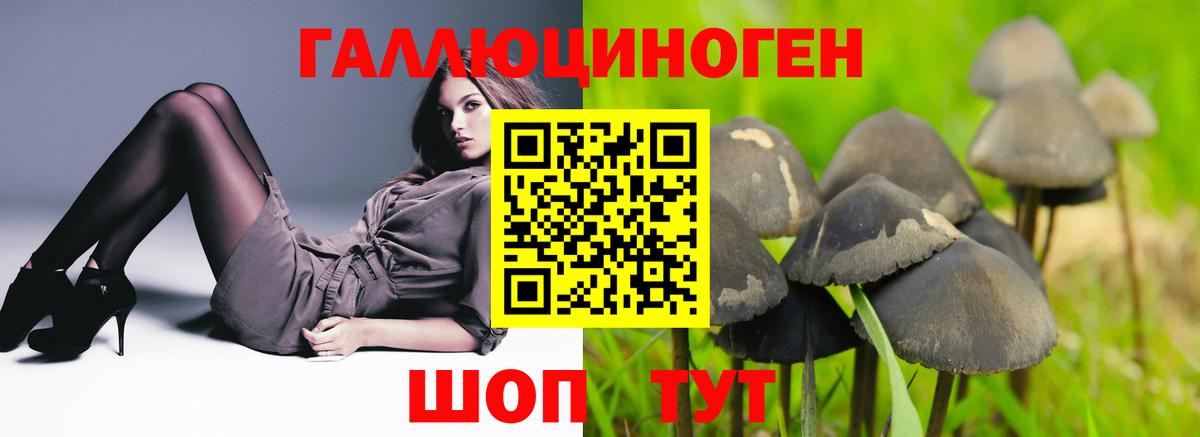 Южно-Сахалинск  Галлюциногенные грибы мухоморы  Вход с VPN 